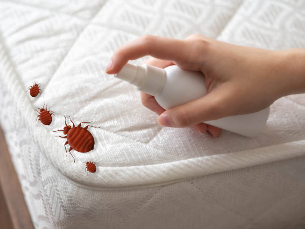 Best Pest Control for Multi-Family Homes  in Forest Hills, MI